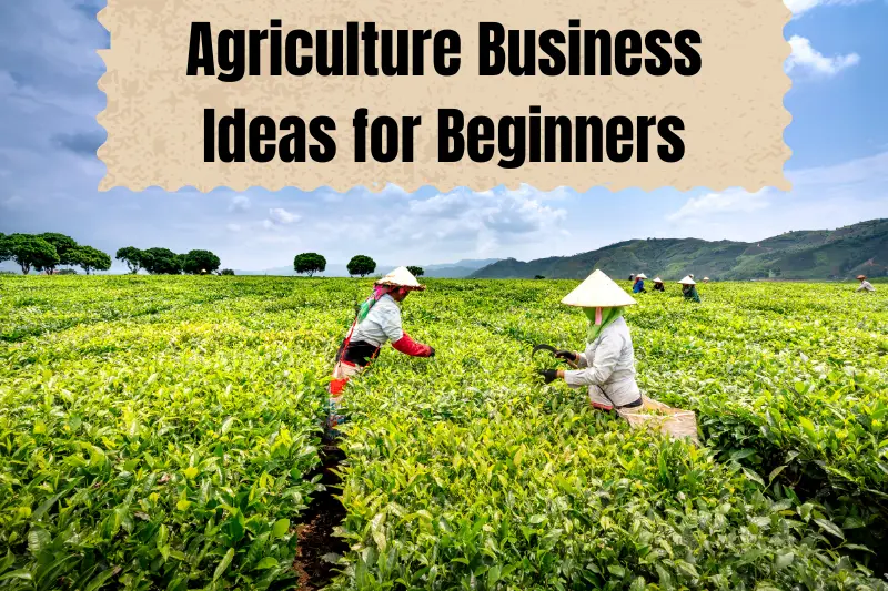 agriculture business ideas for beginners