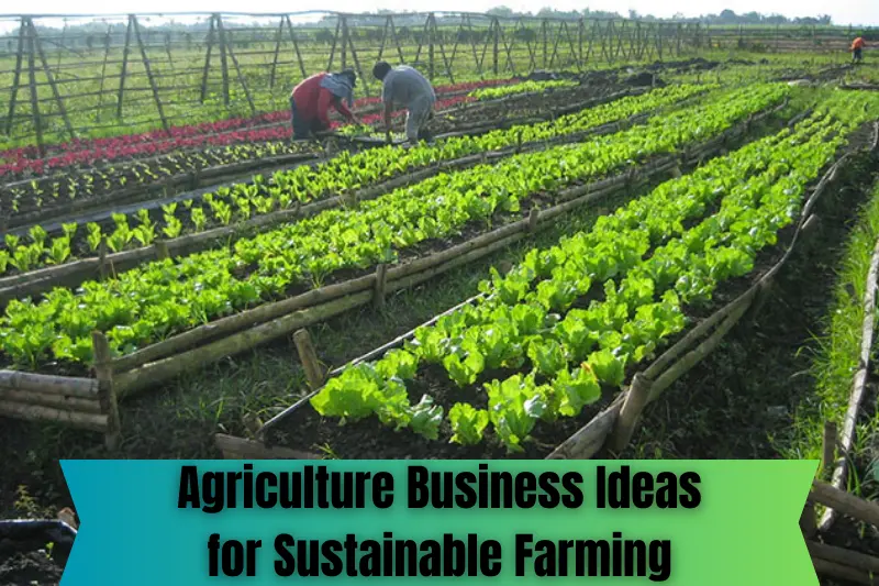agriculture business ideas for sustainable farming