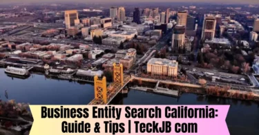 business entity search california