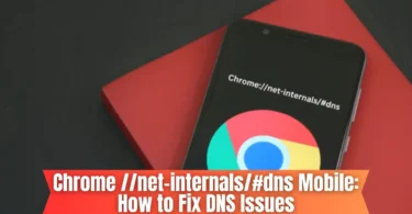 chrome net-internals#dns mobile
