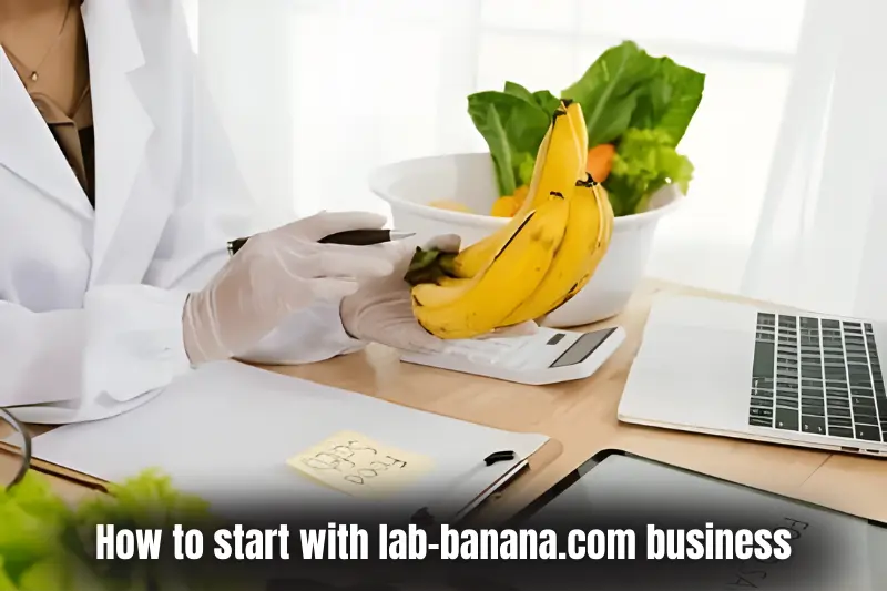 how to start with lab-banana.com business