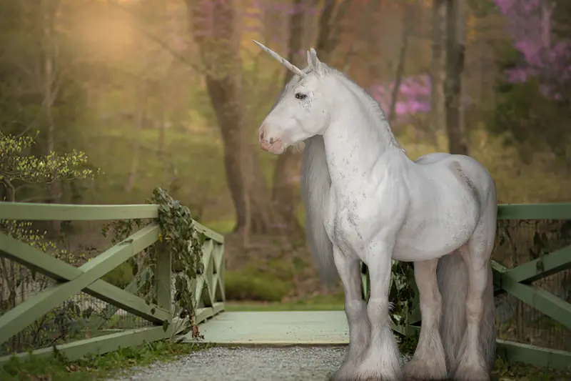 how we built an ai unicorn s