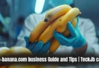 lab-banana.com business