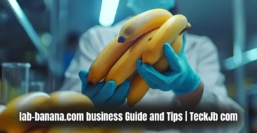 lab-banana.com business