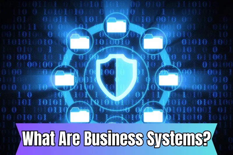 what are business systems