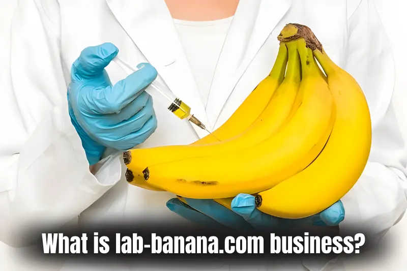what is lab-banana.com business