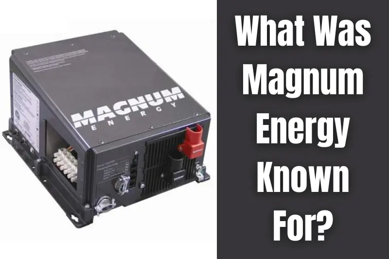 what was magnum energy known for
